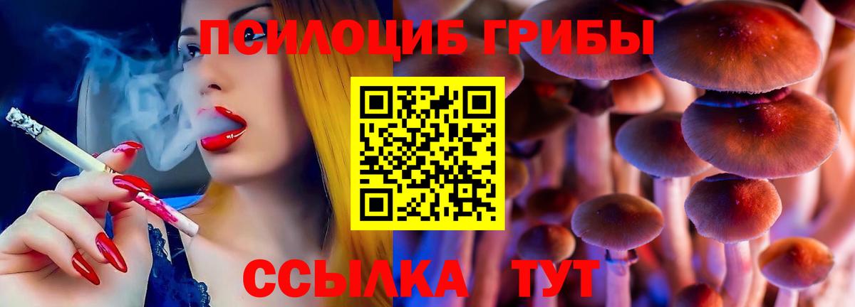 Псилоцибиновые грибы GOLDEN TEACHER Чистополь